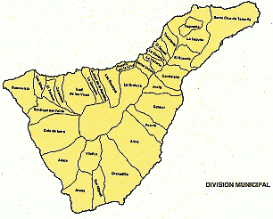 Division Municipal de Tenerife